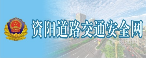 大几巴日B资阳道路交通安全网